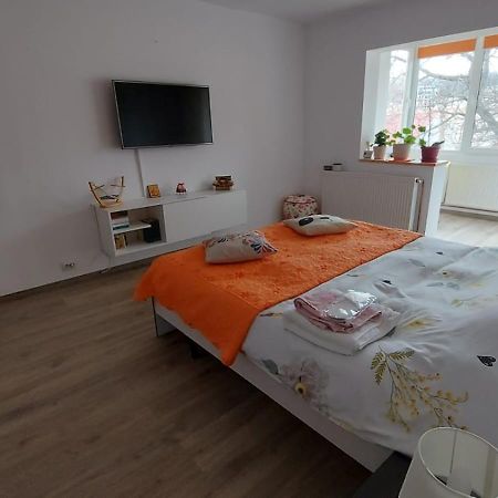 Apartament Spatios In Брашов Экстерьер фото