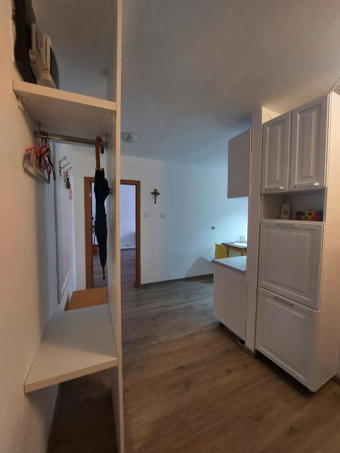 Apartament Spatios In Брашов Экстерьер фото
