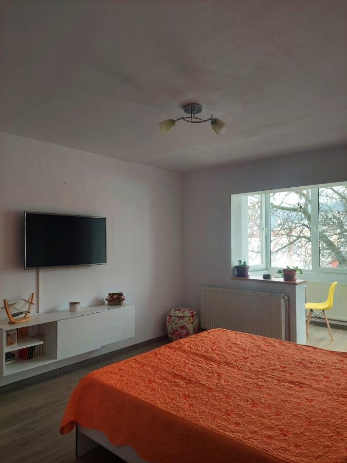 Apartament Spatios In Брашов Экстерьер фото