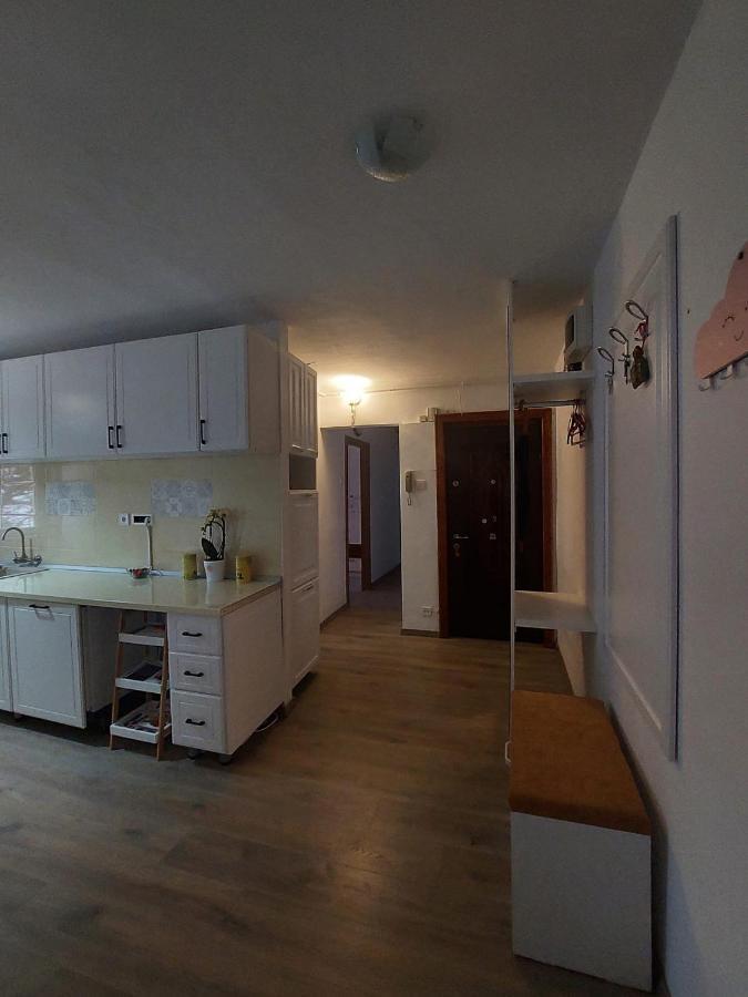 Apartament Spatios In Брашов Экстерьер фото