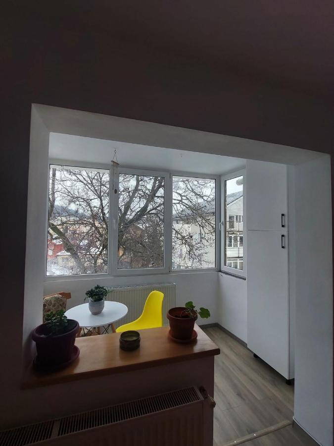 Apartament Spatios In Брашов Экстерьер фото