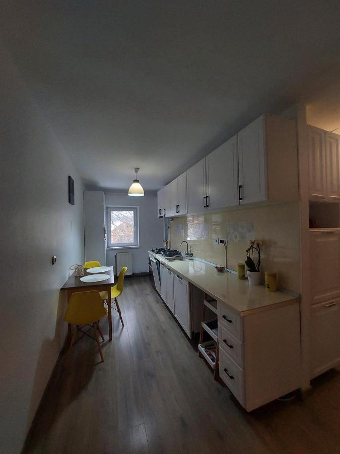 Apartament Spatios In Брашов Экстерьер фото
