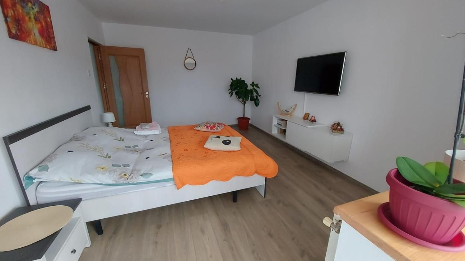 Apartament Spatios In Брашов Экстерьер фото