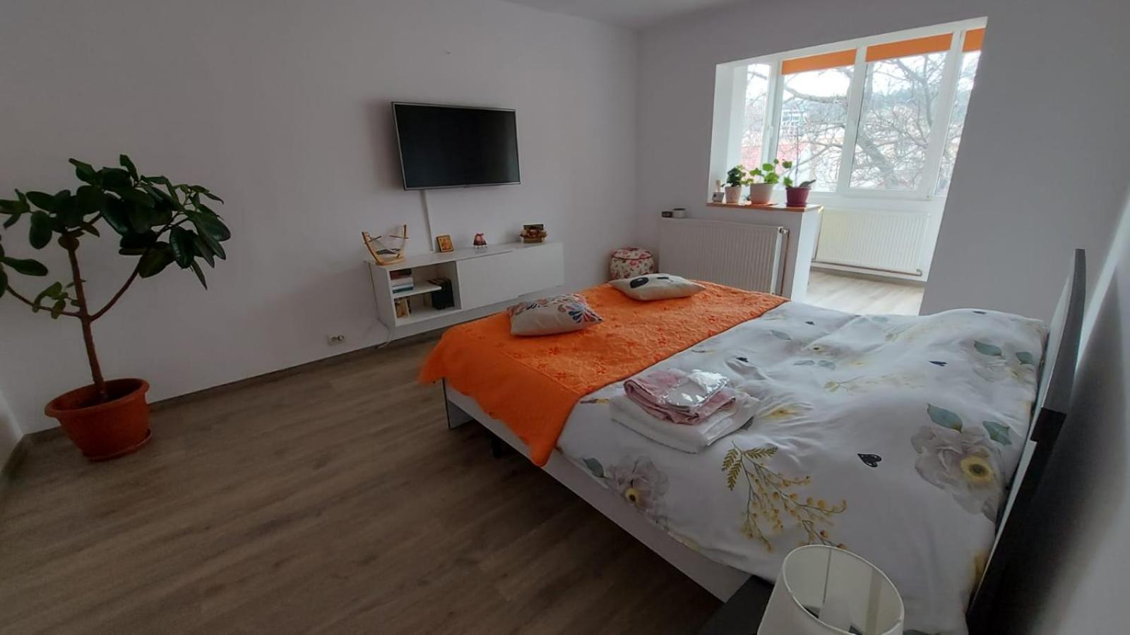 Apartament Spatios In Брашов Экстерьер фото