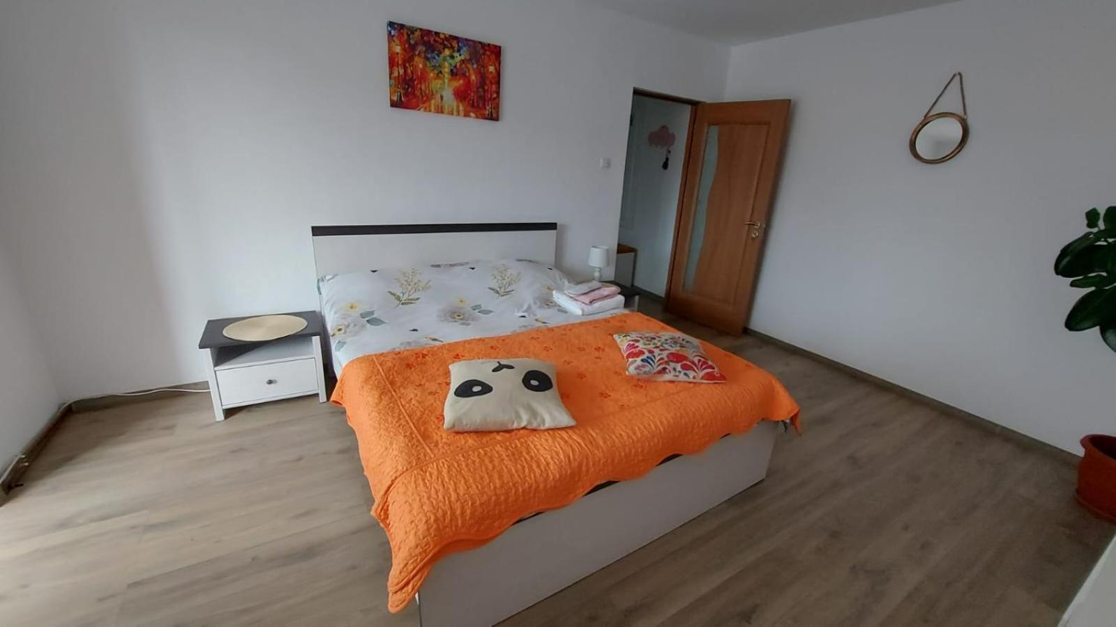 Apartament Spatios In Брашов Экстерьер фото