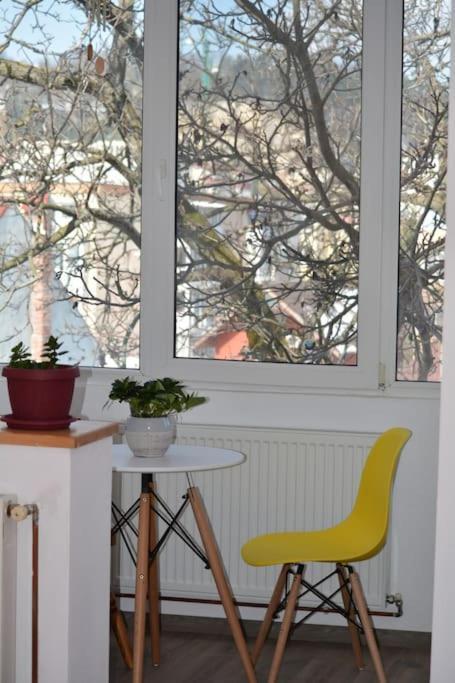 Apartament Spatios In Брашов Экстерьер фото