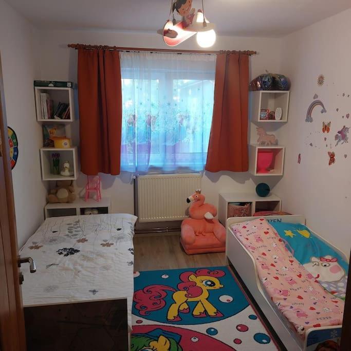 Apartament Spatios In Брашов Экстерьер фото