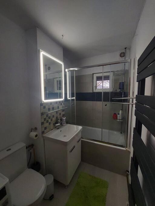 Apartament Spatios In Брашов Экстерьер фото