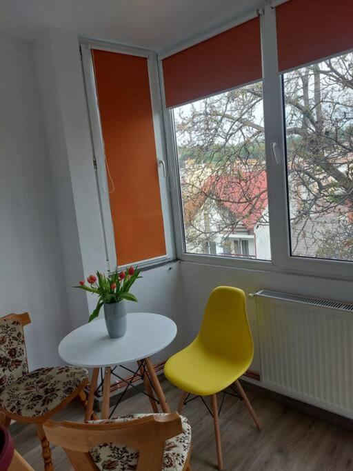 Apartament Spatios In Брашов Экстерьер фото